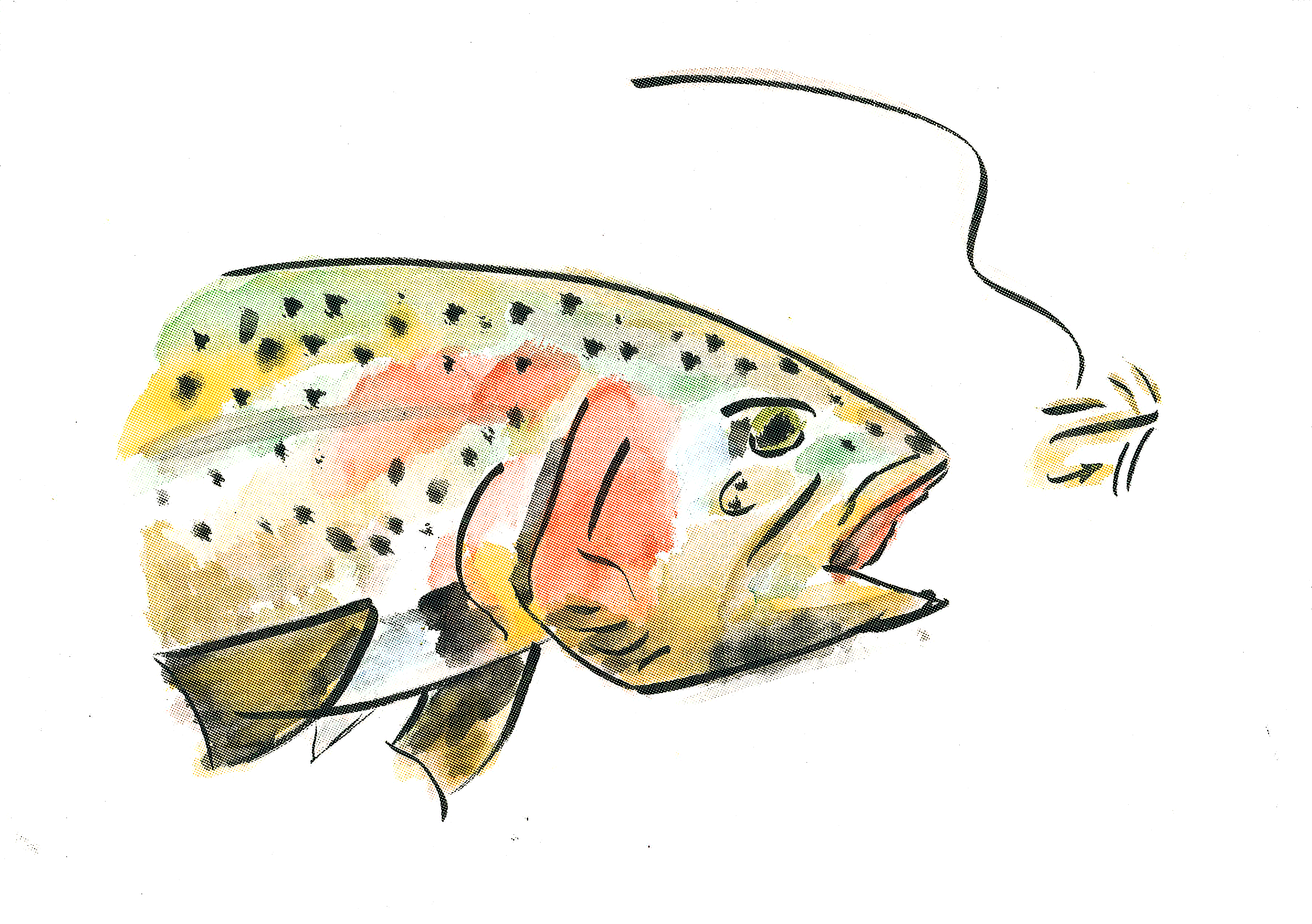 Coral Reef Fish (7124x5080), Png Download