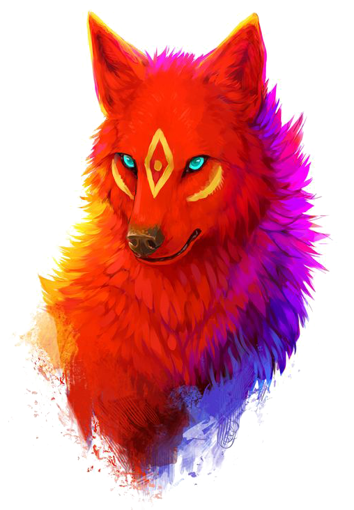 Red Wolf Clipart Face - Wolf Png (564x747), Png Download