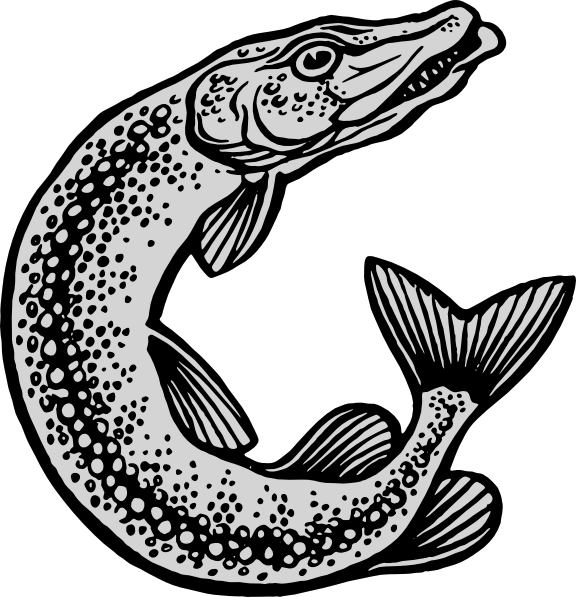 Fish Clip Art Free Vector - Fish And Fishing Equipment (576x597), Png Download