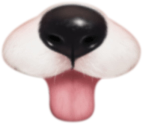 Funny Camera Effects Filters Snow Messages Sticker-7 - Face Filters Stickers (475x415), Png Download