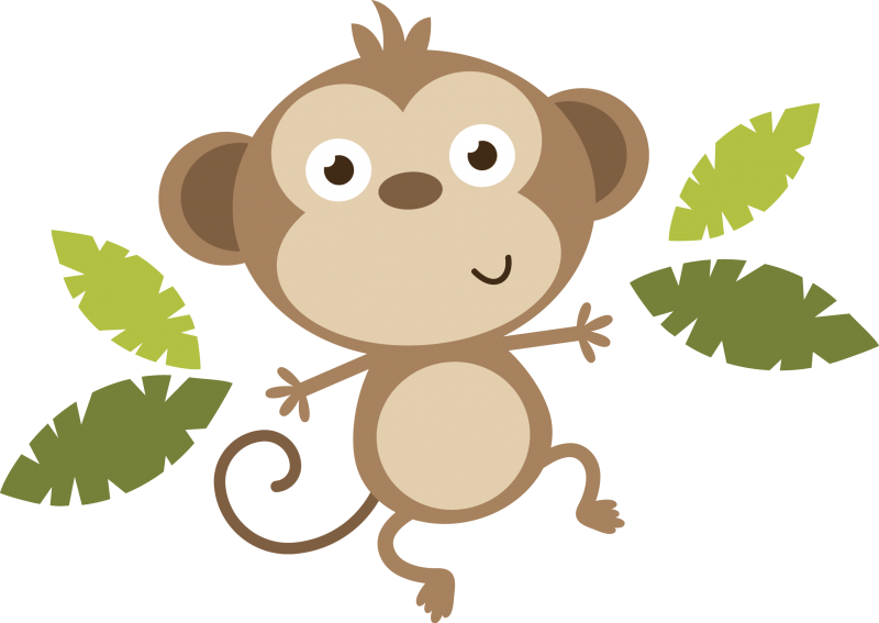 Monkey Png Image - Baby Monkey Clipart Png (800x567), Png Download