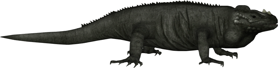 Rhinoceros Iguana - Zt2 Download Library Iguana (958x958), Png Download
