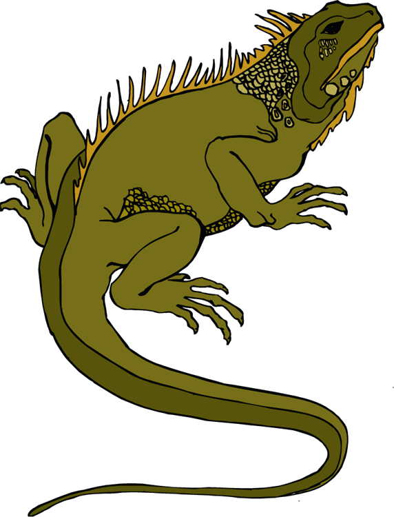 Iguana Cliparts - Lizard Clipart Transparent (572x750), Png Download