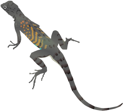 Free Icons Png - Lizard Clip Art No Background (410x368), Png Download
