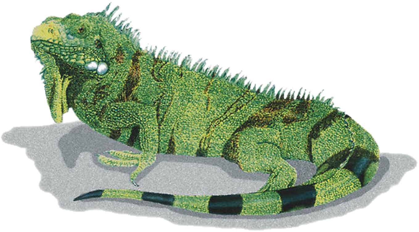 Stunning Don't You Think The Original Is A Full Body - Design (1400x875), Png Download