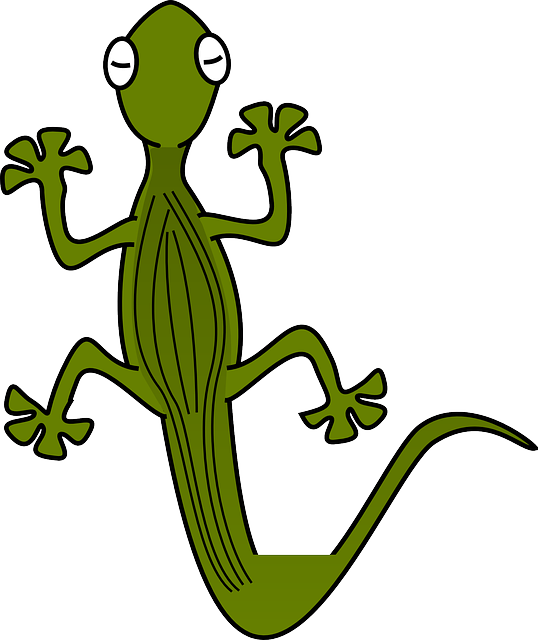 Gecko, Lizard, Reptile, Dragon, Animal, Green, Iguana - Lizard Clipart (538x640), Png Download