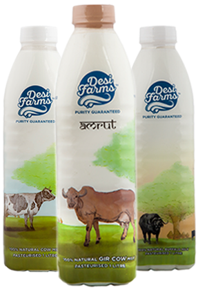 Milk Bottle Png (585x482), Png Download