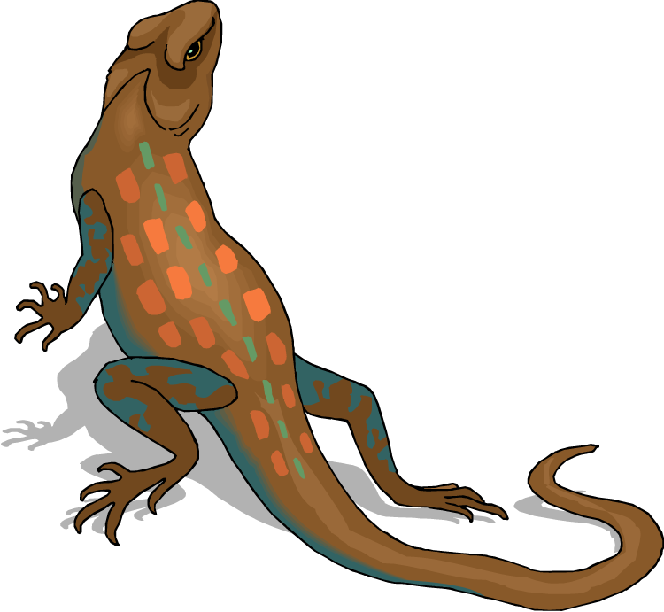 Free - Lizard Png Clipart (750x691), Png Download