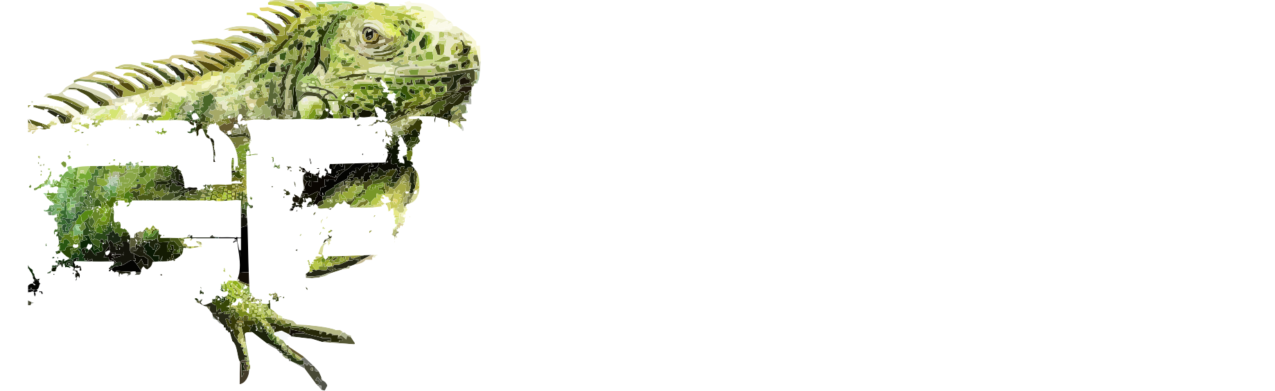 Green Iguana (1840x565), Png Download