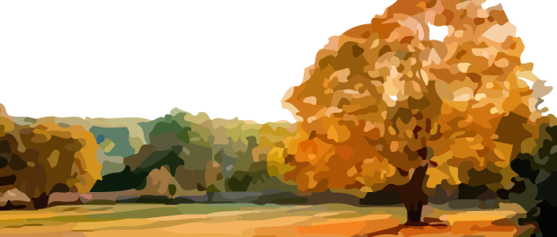 Illustration By Ghazaleh Kamrani - Paisajes De Otono Con Arboles (620x264), Png Download