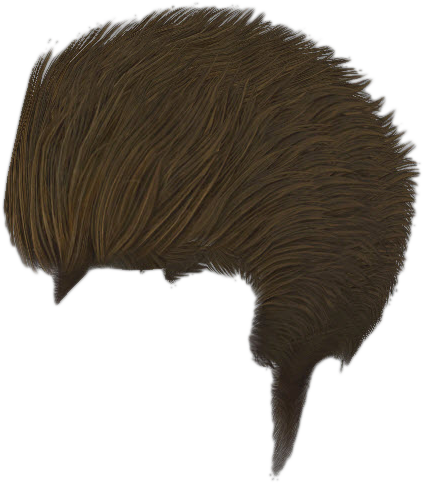 Transparent Hair Light Brown - Cb Edits Hairstyle Png (423x483), Png Download