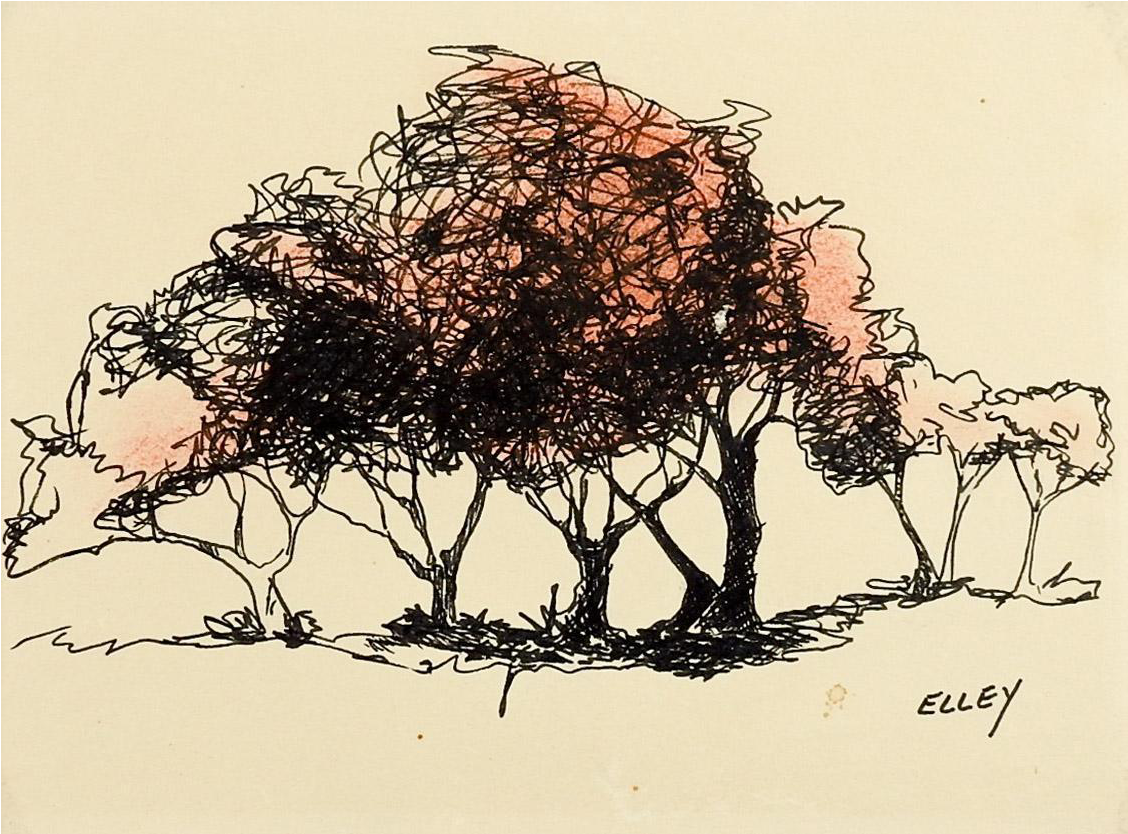 Clipart Royalty Free Download Boho Drawing Tree - Pond Pine (1252x926), Png Download