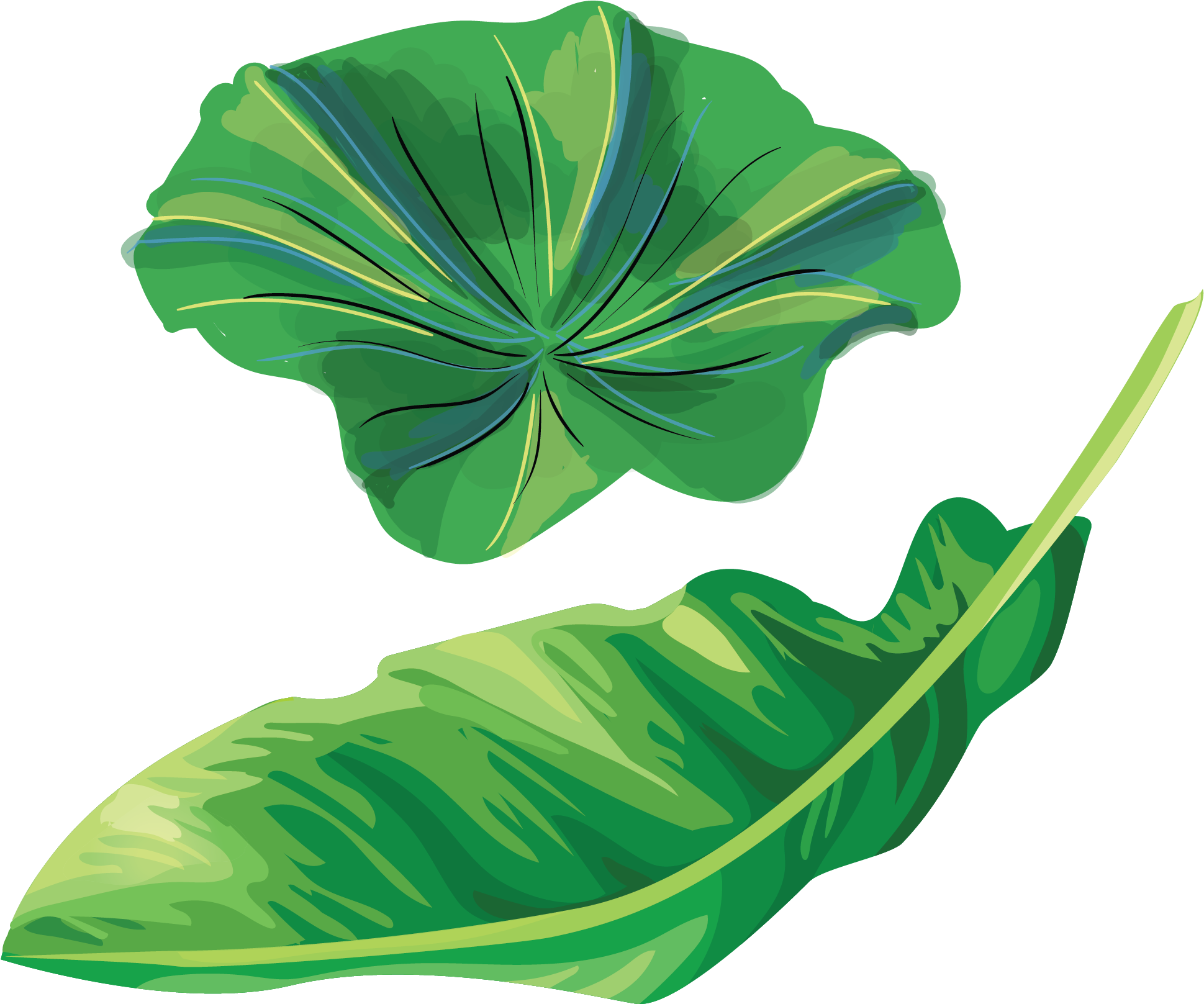Lotus And Banana Leaves - Leaf (2500x1875), Png Download