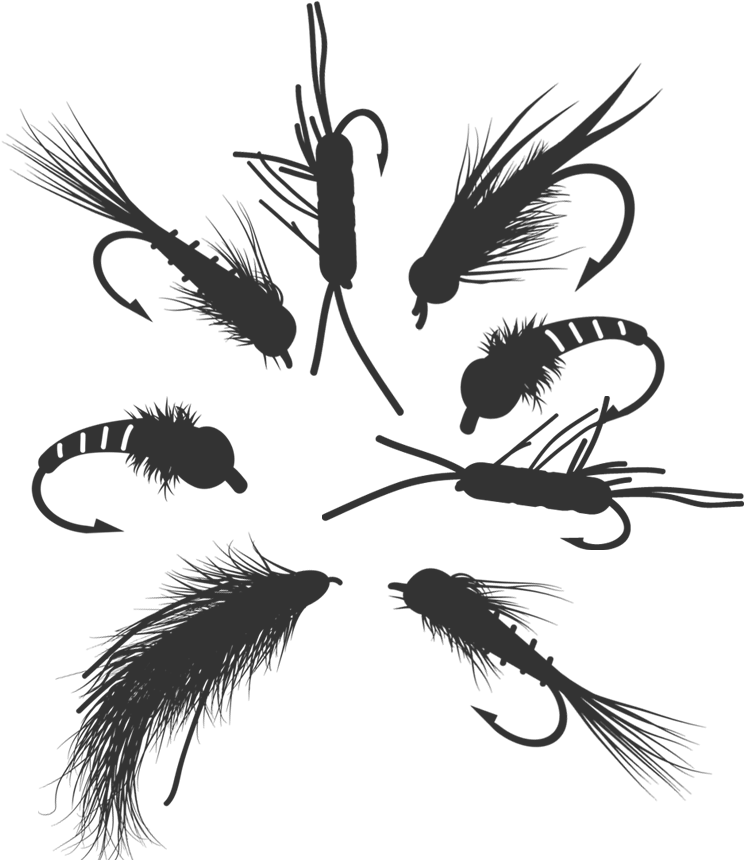 New Customer Assortment - Illustration (1143x888), Png Download