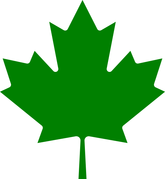 221 × 240 Pixels - Green Canadian Maple Leaf (554x600), Png Download