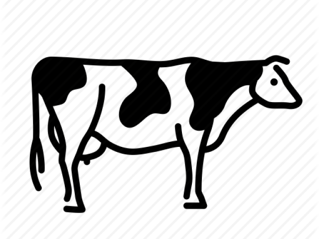 Cow Icon Png Clipart , Png Download - Cow Icon Png (640x480), Png Download