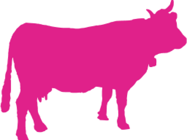 Ox Silhouette Clipart (640x480), Png Download