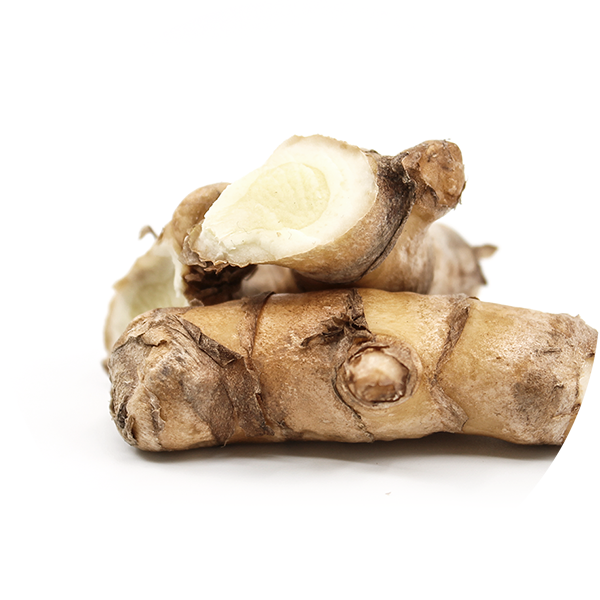 White Turmeric - Zingiber (600x600), Png Download