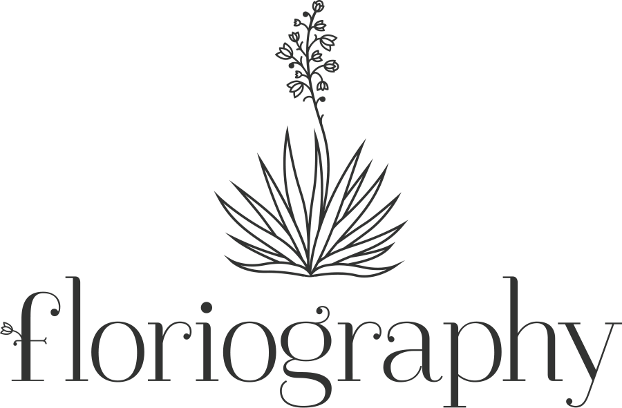 Floriography Flowers - Calligraphy (900x591), Png Download