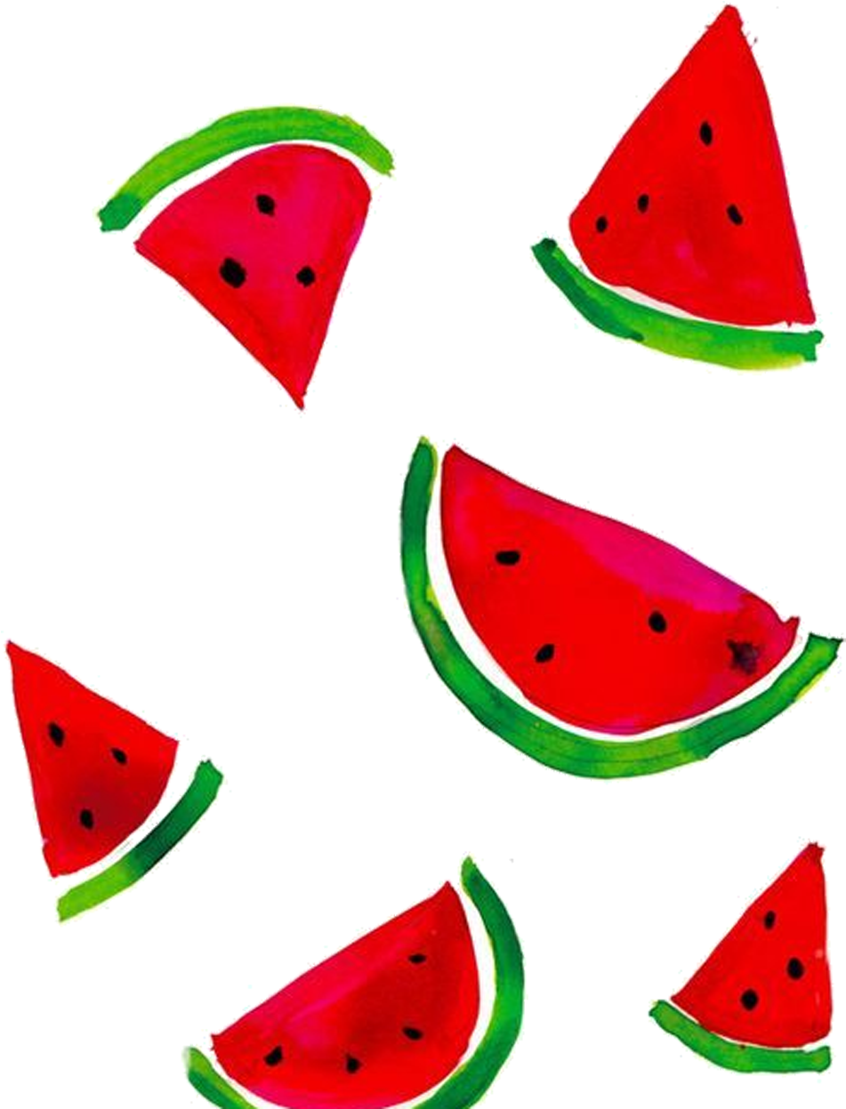 Water Melon Drawing (1038x1250), Png Download