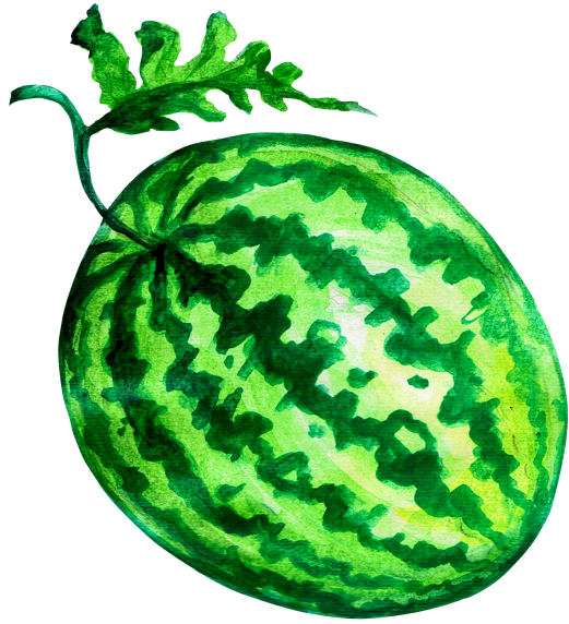 Watermelon - วาด เส้น แตงโม (866x650), Png Download