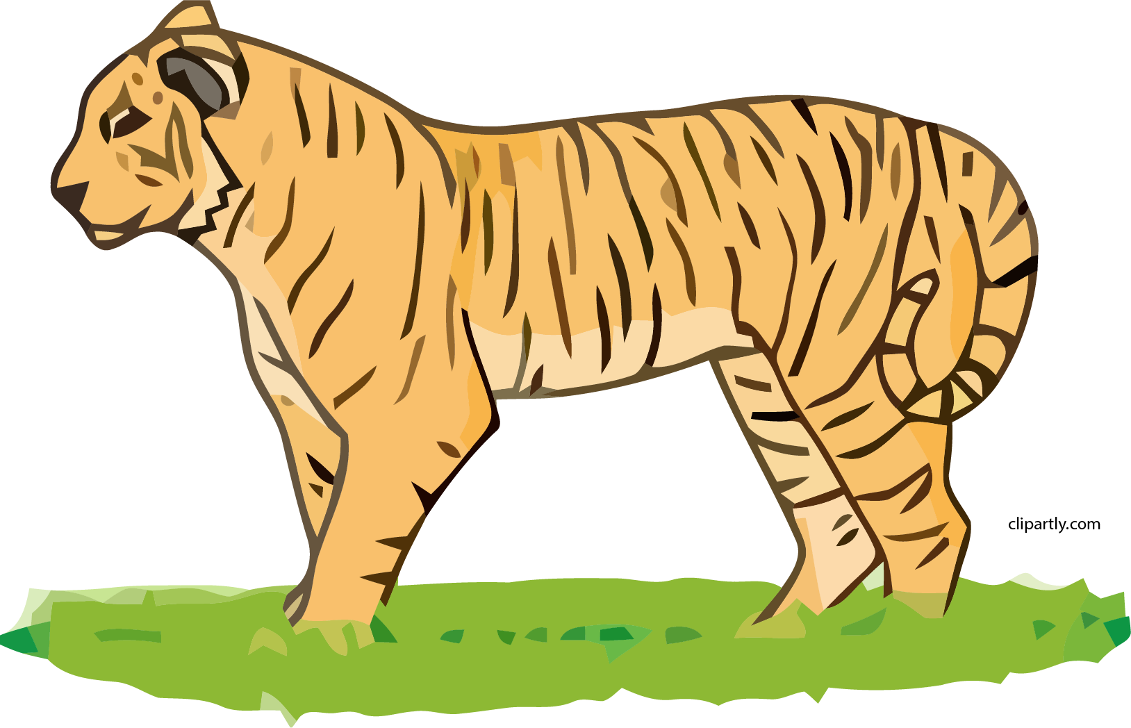 Tiger Clipart Png - Tigerclipart (1628x1048), Png Download