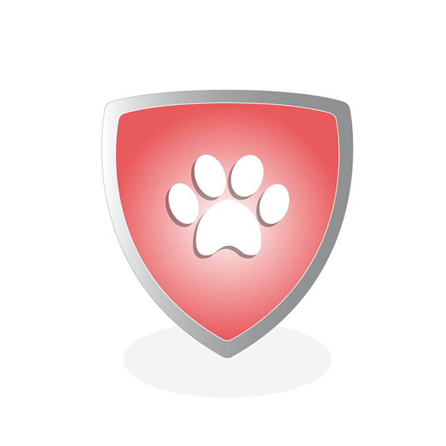 Themed Kids Parties - Circle (800x800), Png Download