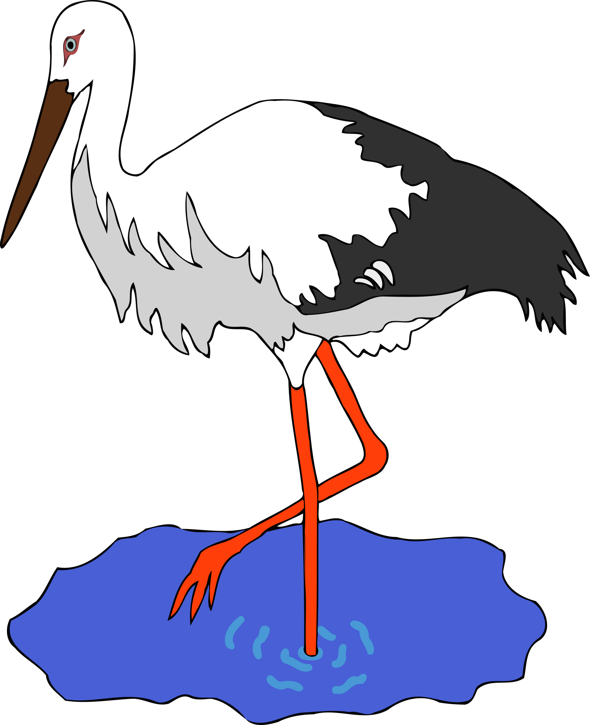 This Free Icons Png Design Of Kress's Stork In A Pond (1953x2400), Png Download