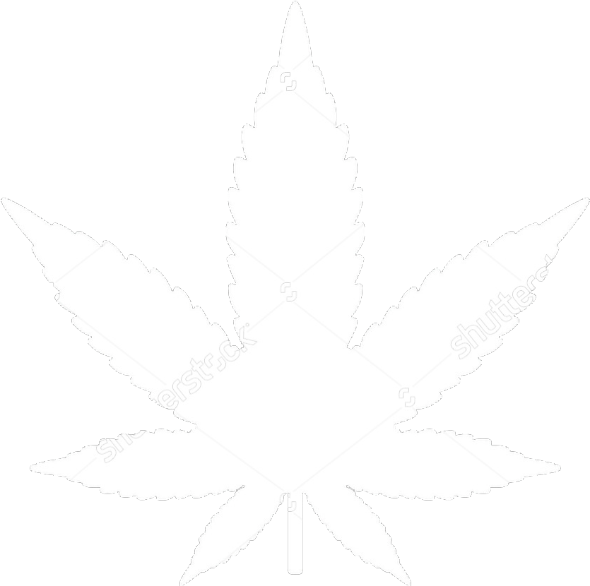 A Neurobiologist Says Medical Marijuana Could Solve - Marijuana Vector Funny (1500x1600), Png Download