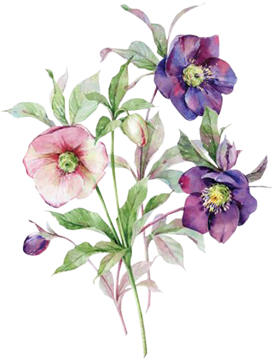 Flores Sticker - Me Trate Como Gostaria De Ser Tratado (1024x1283), Png Download