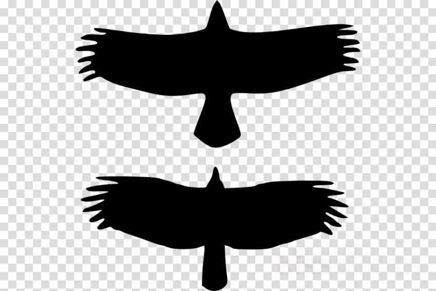 Free Png Download Vintage Camera Transparent Background - Apple Music Png White (850x567), Png Download