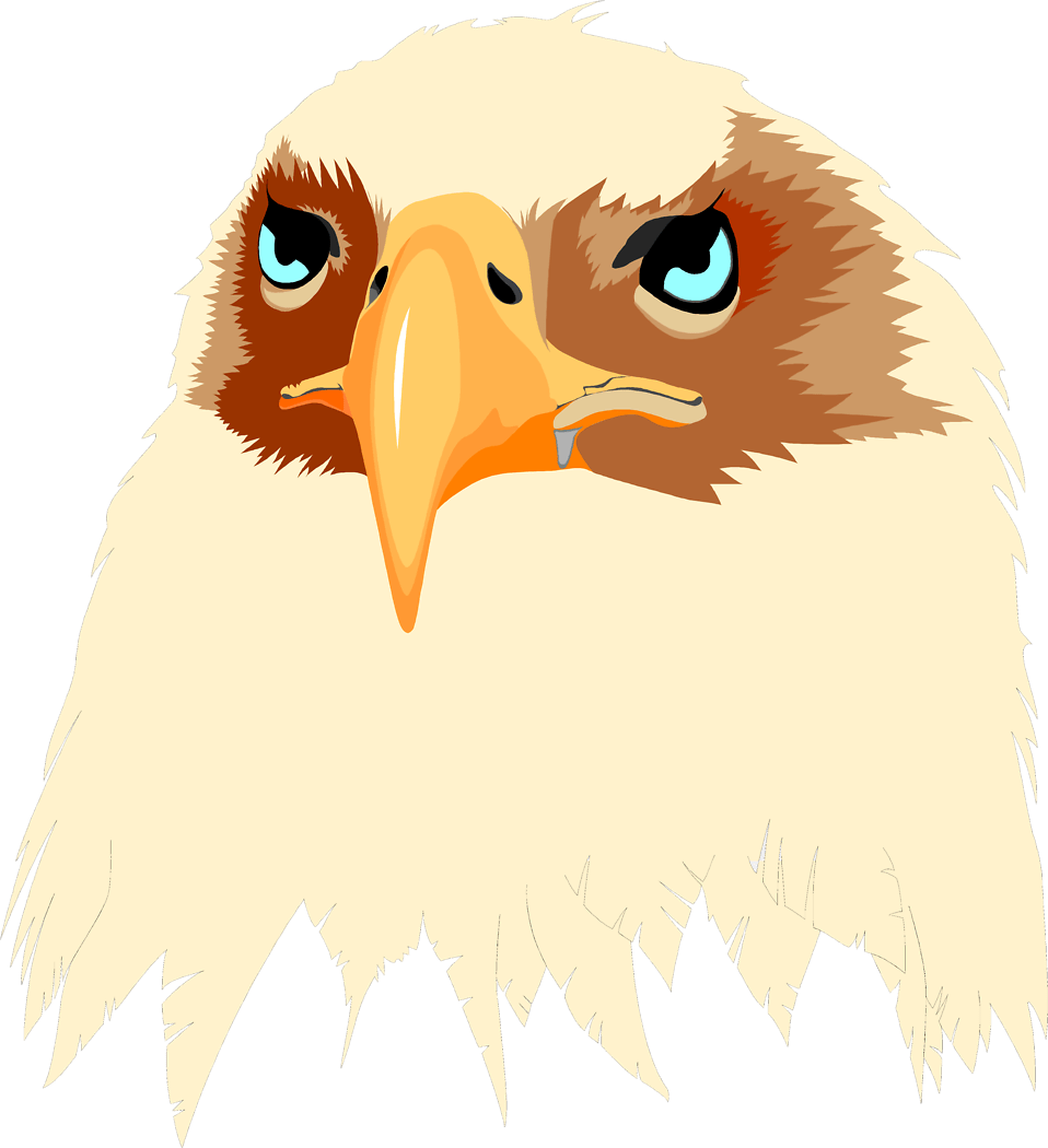 Eagle Free Stock Illustration Of Head - Eagle Usa (958x1050), Png Download