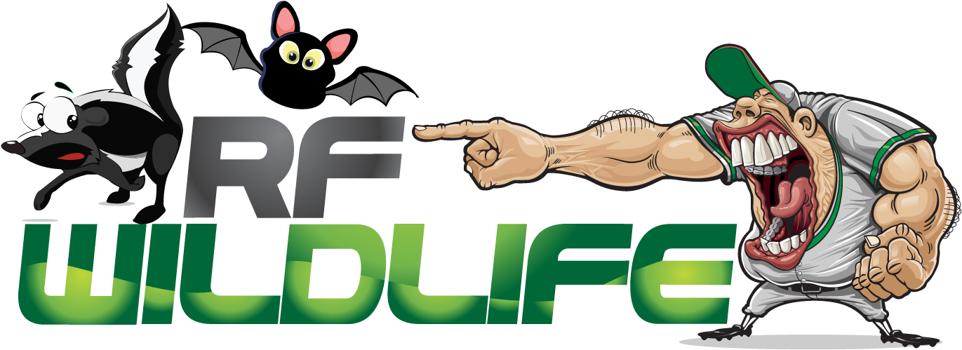 Rf Wildlife Removal Rf Wildlife Removal - Cartoon (1436x840), Png Download