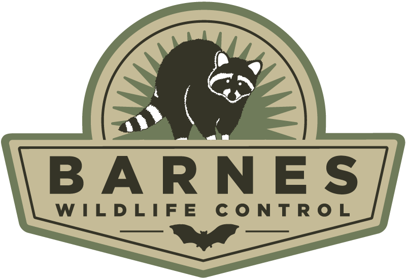 Chipmunk Removal Service - Gbrands (800x549), Png Download