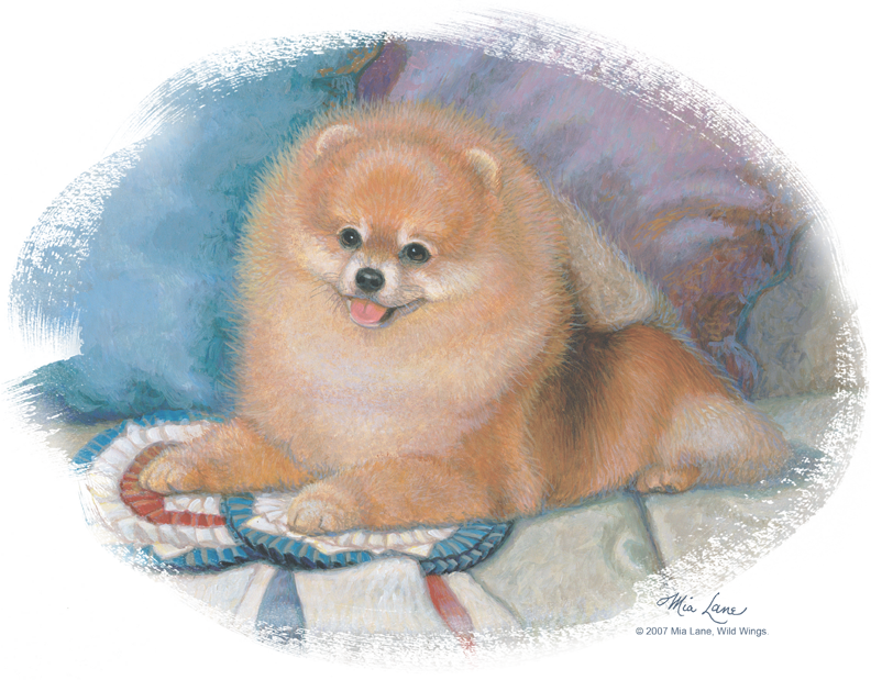 Wildlife Pomeranian Portrait Youth T Shirt - Pomeranian (792x619), Png Download