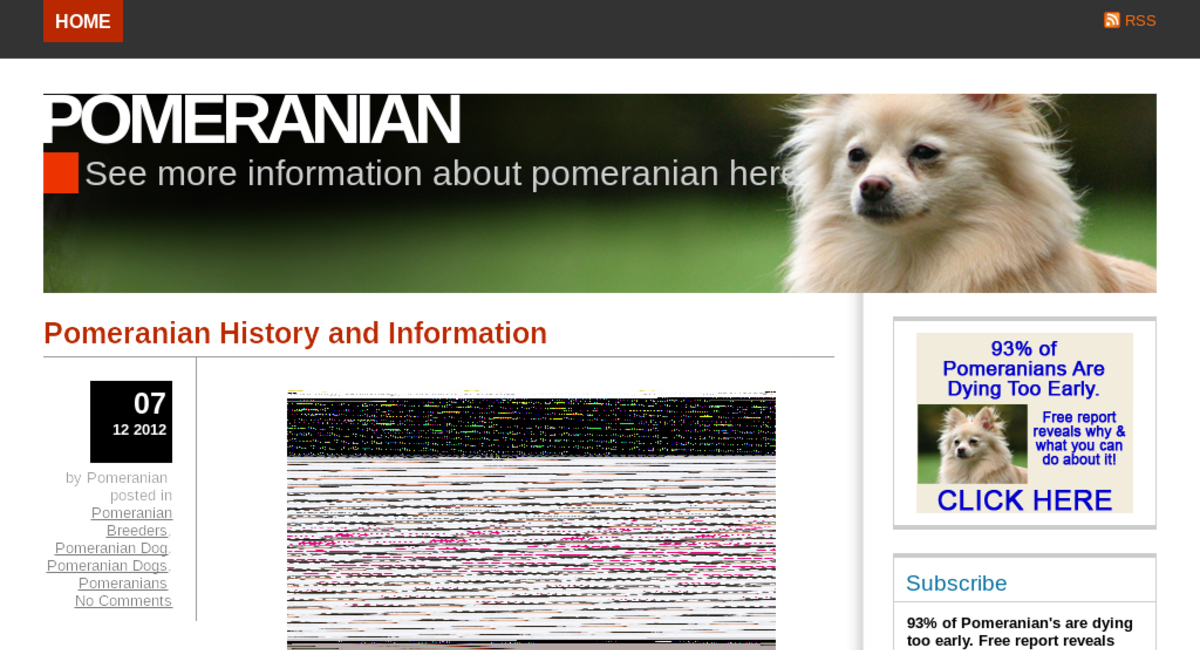 Tv Website Listed On Flippa - Little Fluffy Dogs (1200x650), Png Download