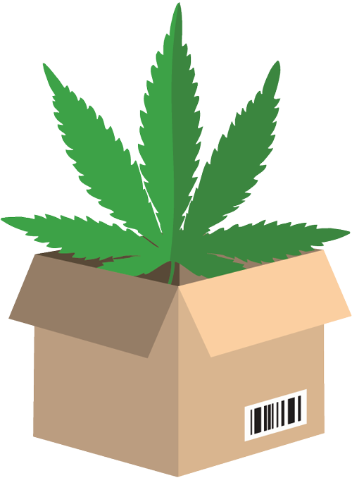 Cannabisbuyer Wholesale - Marijuana Leaf (500x678), Png Download