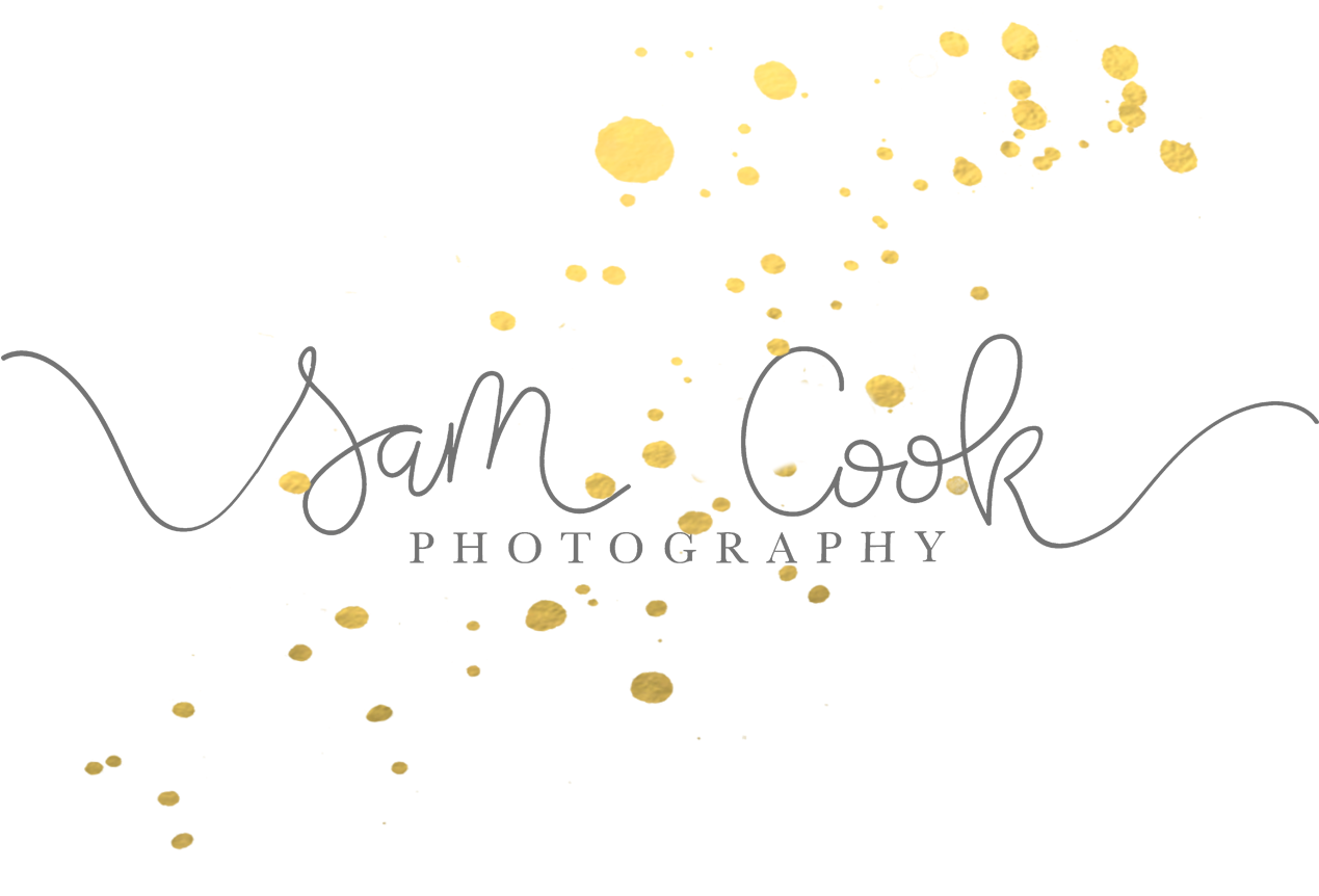 Sam Cook Photography - Calligraphy (1366x1056), Png Download