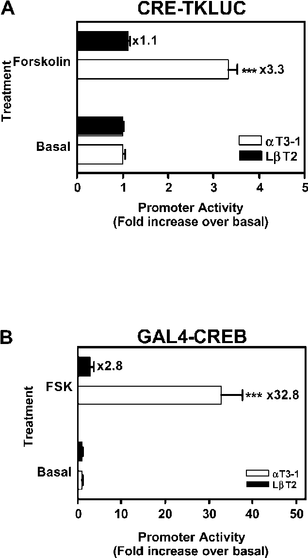 Download - Diagram (639x1156), Png Download
