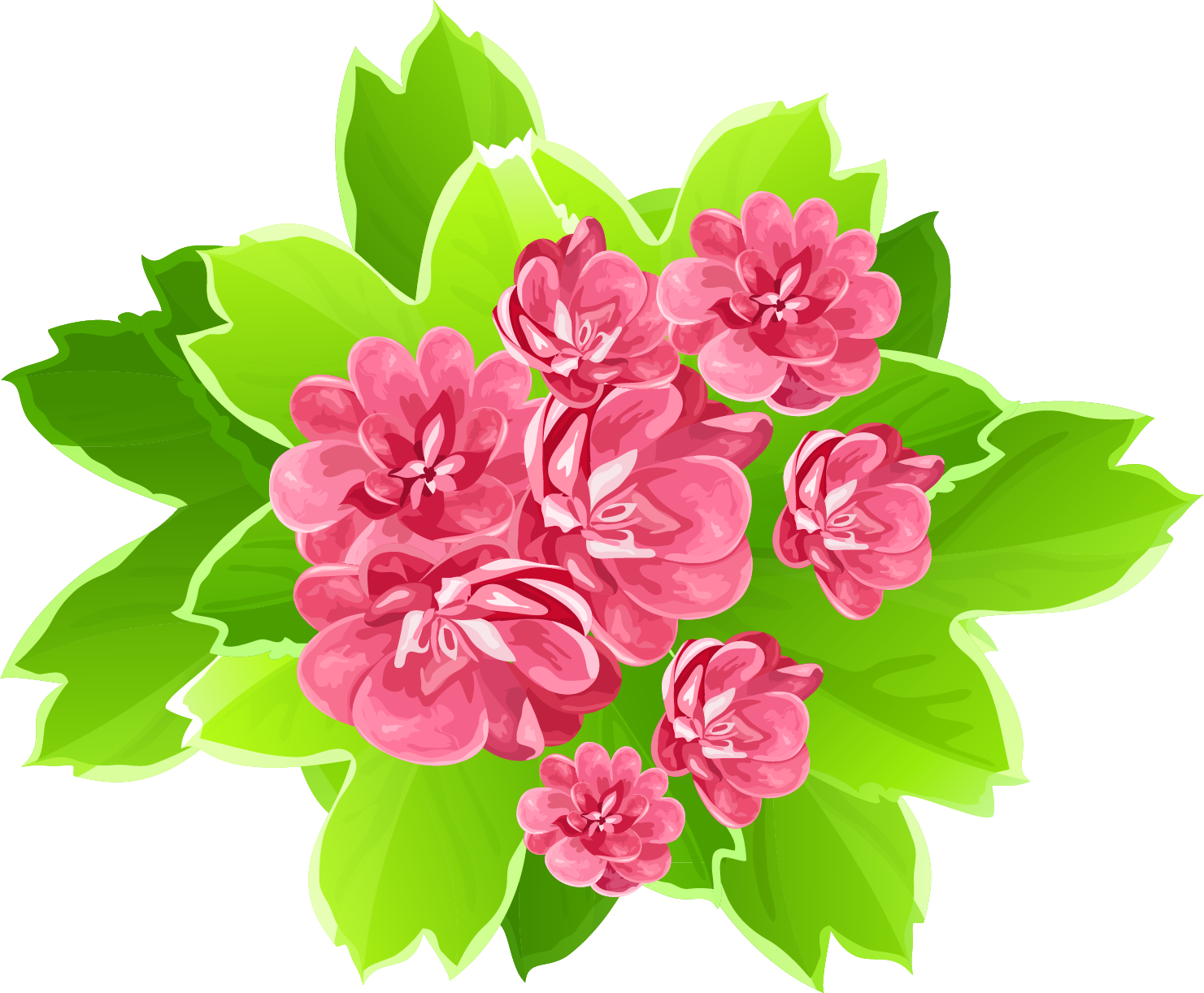 Gorgeus Clipart Summer Flower - Beautiful Flower Clipart Png (1481x1222), Png Download