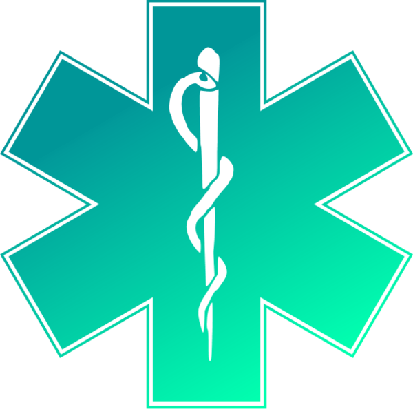 Ems Emergency Medical Service Logo Vector Clip Art - Emergency Medical Services Png (600x594), Png Download