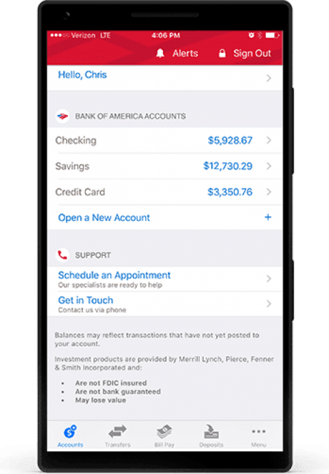 Free Png Download Bank Of America Account With A Lot - Bank Of America Account With A Lot (480x691), Png Download