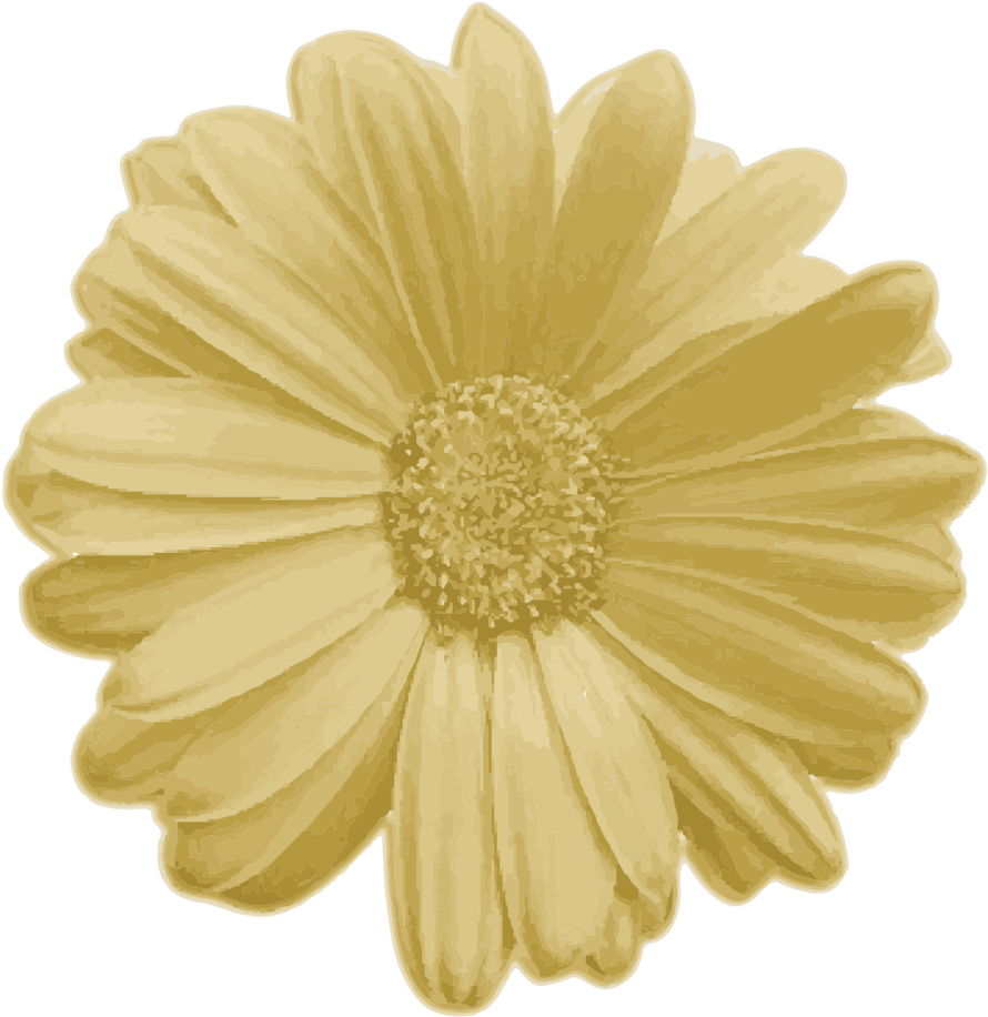 Real Flower Png (1000x1000), Png Download
