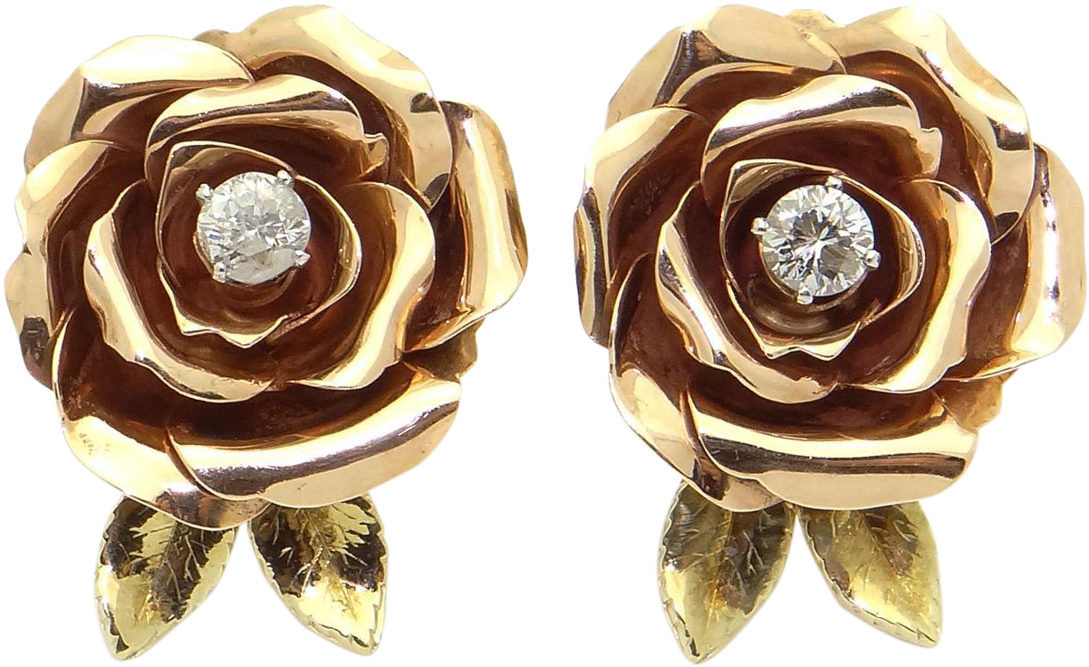 1201 X 1201 1 - Garden Roses (1201x1201), Png Download