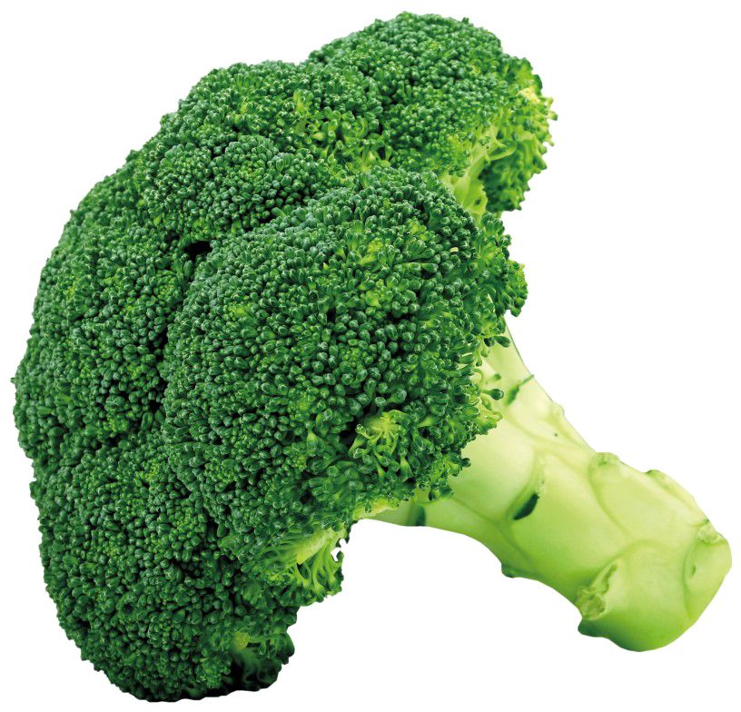 Broccoli Png (816x784), Png Download