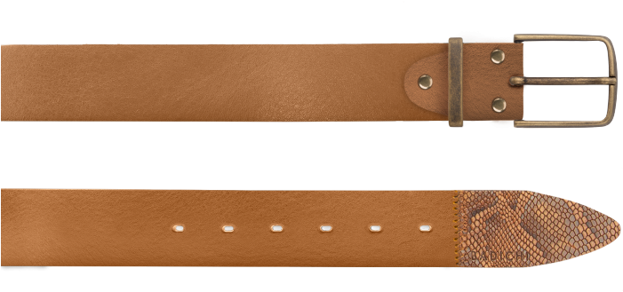 Buckle (700x495), Png Download
