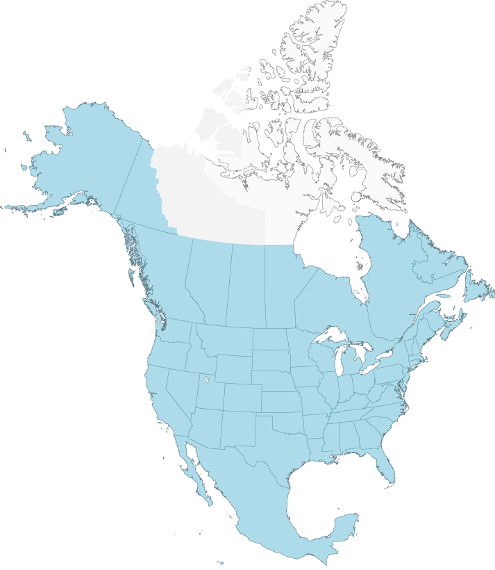 Rat Map - Interior Alaska Yukon Lowland Taiga Biome (713x820), Png Download