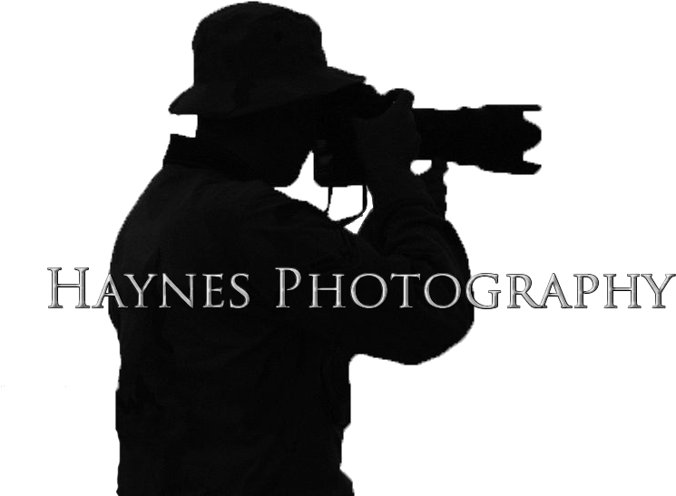 U353493370 O339863899 111 - Photographer Shooting (800x578), Png Download