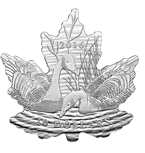Maple Leaf Silhouette - Silver Coin (570x570), Png Download