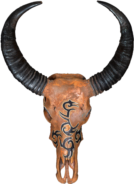 Nirav (900x605), Png Download